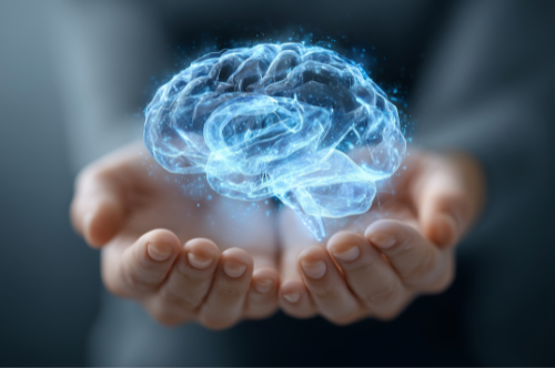 🔴 L1 / BLOC 3 – Neurosciences & biologie